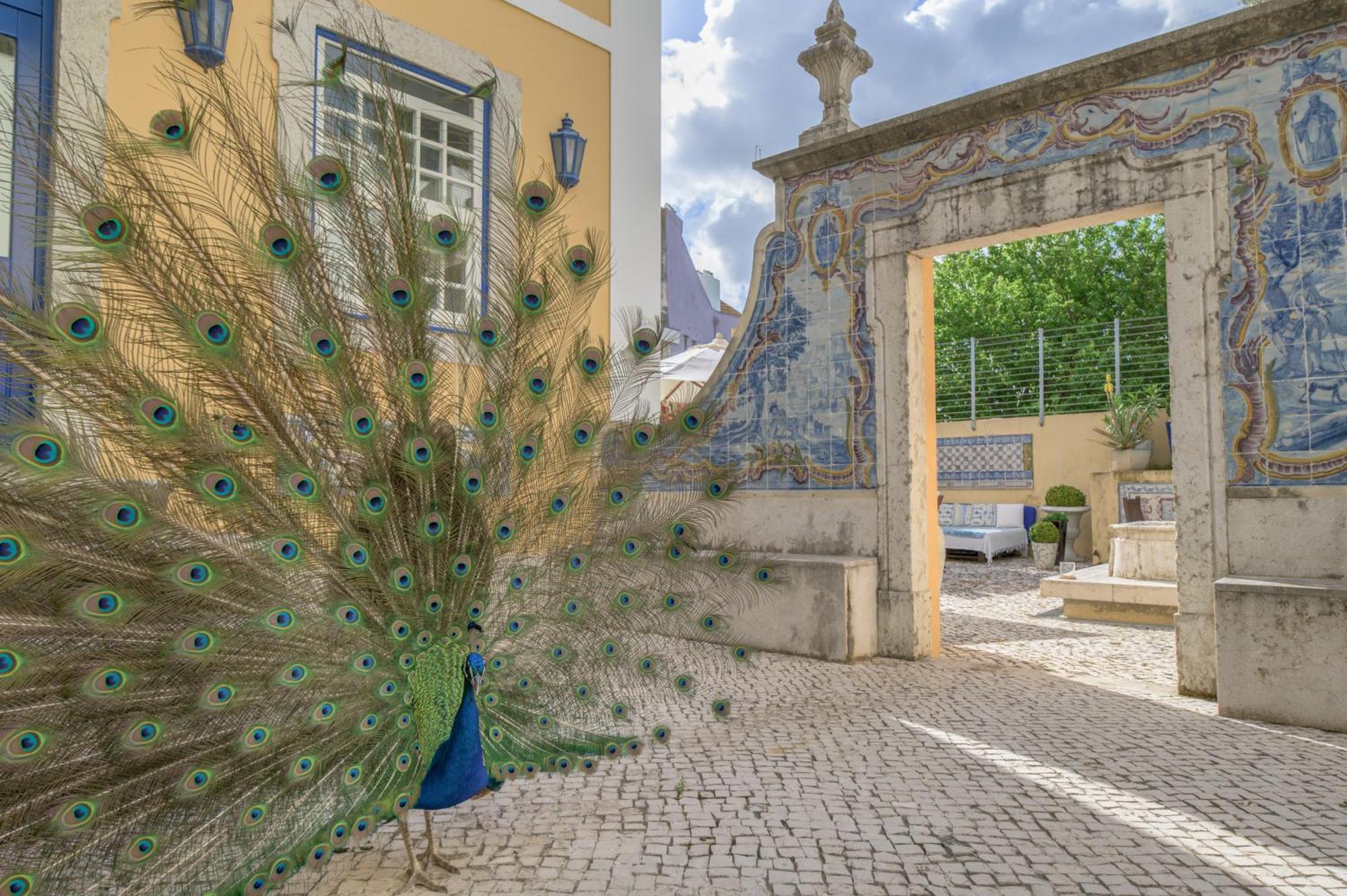 Solar Do Castelo - Lisbon Heritage Collection - Alfama Екстер'єр фото